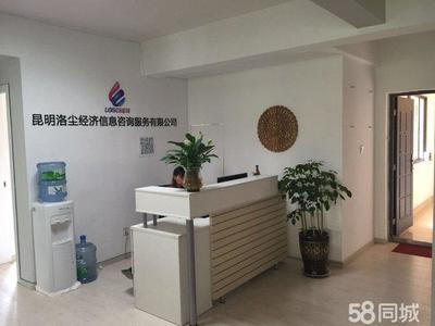 洛塵經濟信息咨詢 專業賦能，智啟未來——信息咨詢服務新起點